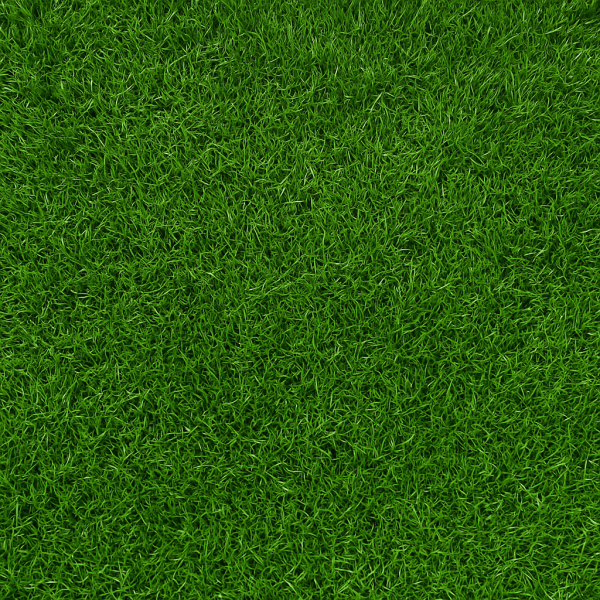Fresh Sod (2'x5')