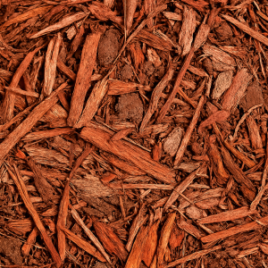 Premium Pine Mulch